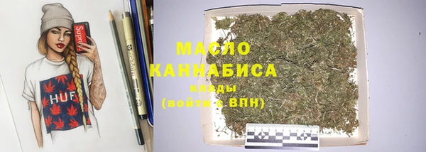 хмурый Арсеньев