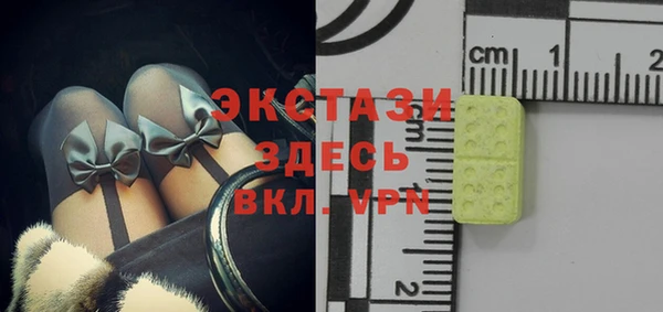 хмурый Арсеньев
