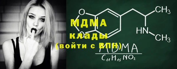 хмурый Арсеньев
