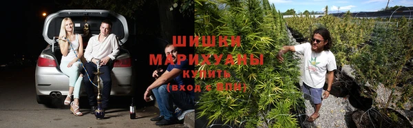 гидропоника Алзамай